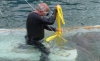 Danièla sortie de l'eau 31-5-14 (5)