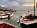 IMG_7726